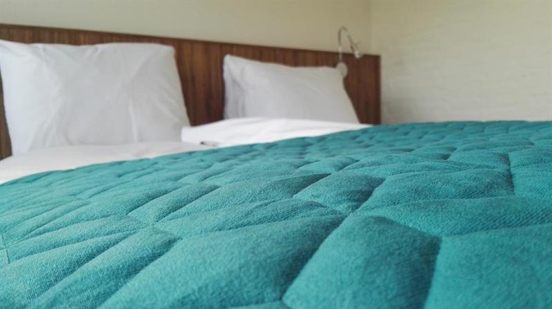 Hotel Wicc ワーゲニンゲン エクステリア 写真